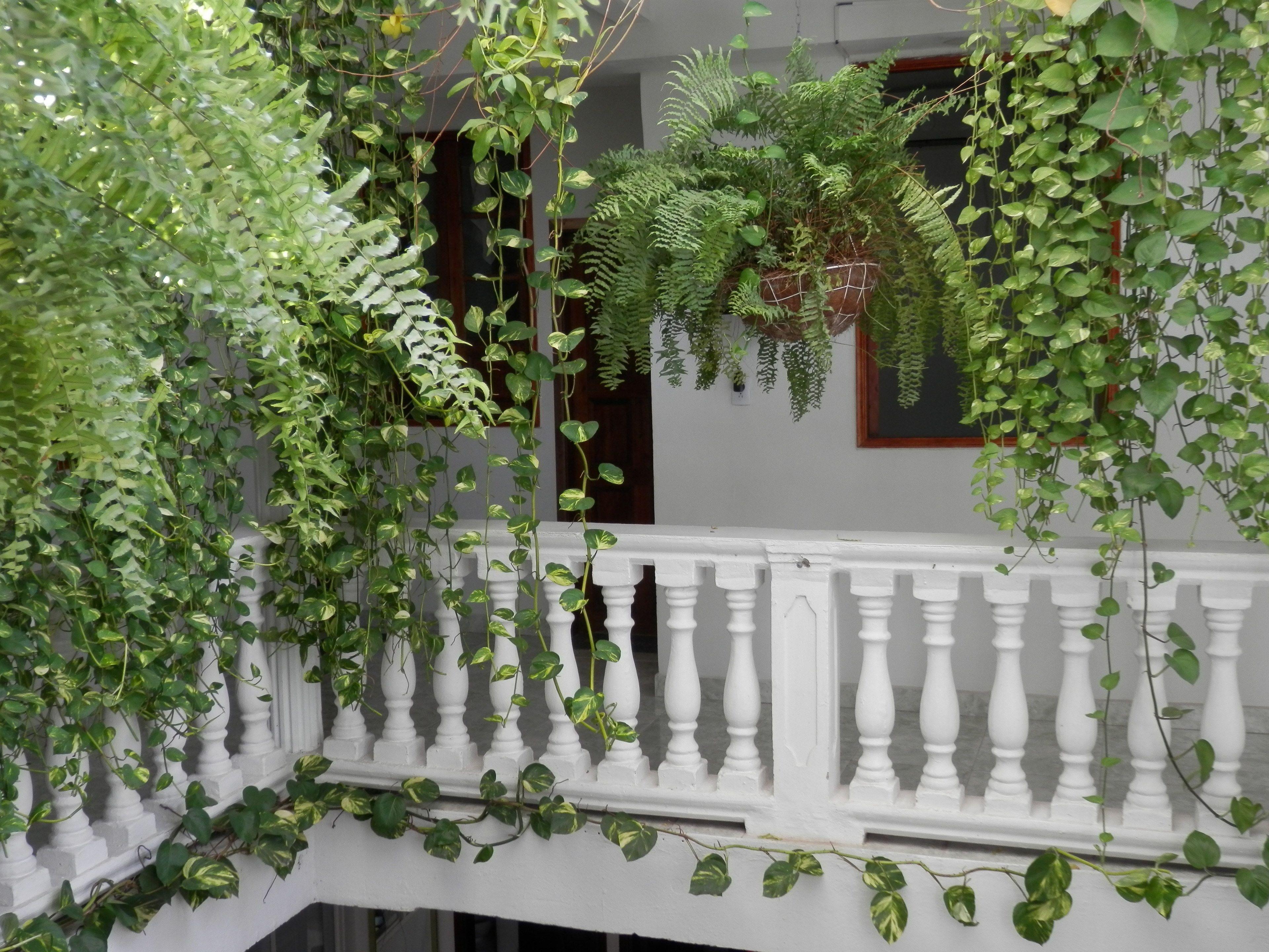 Patio De Getsemani — Photos 1