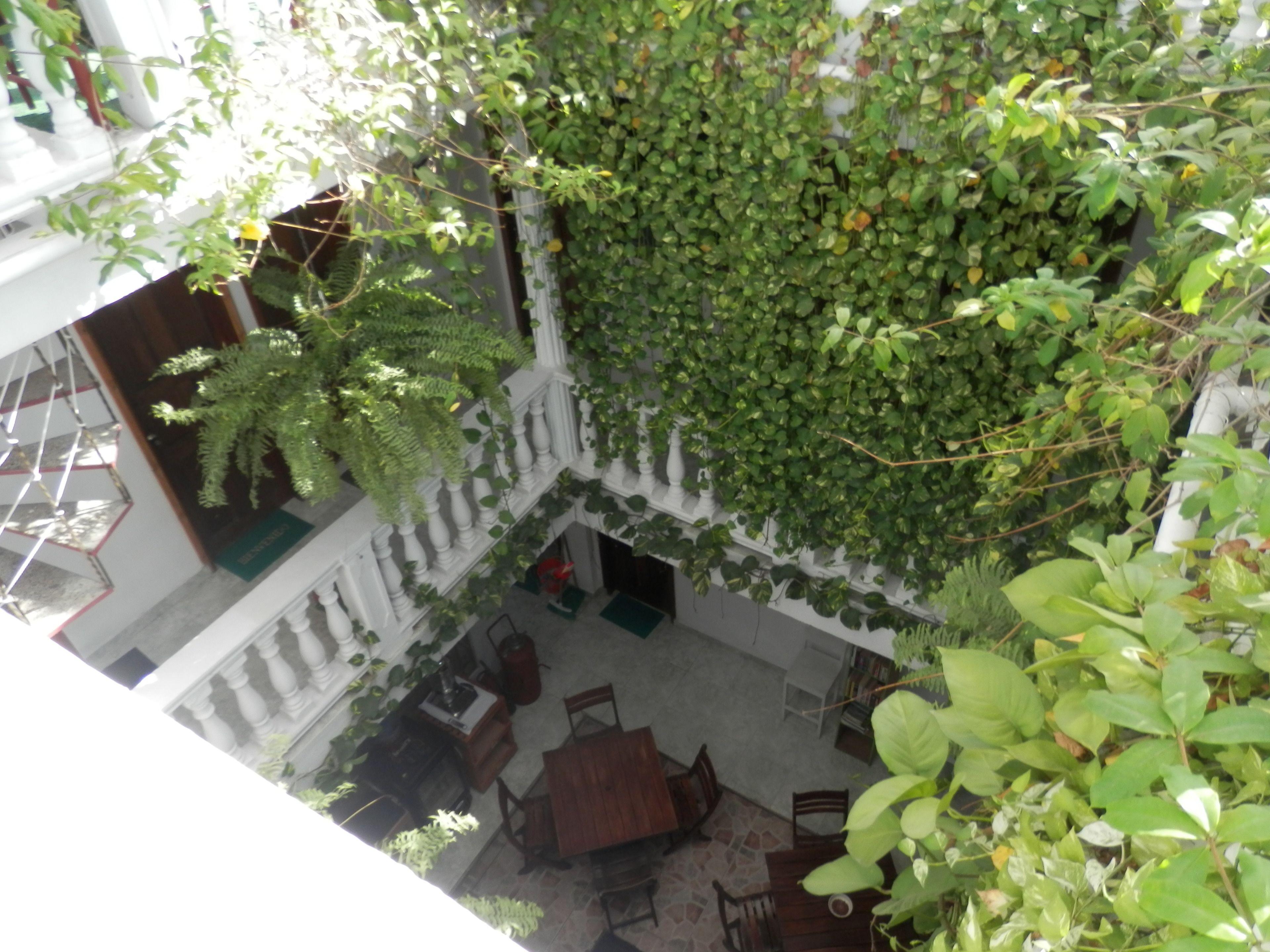 Patio De Getsemani — Photos 2
